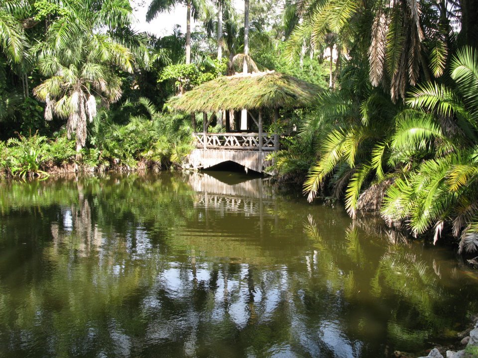 Bonnet House Museum and Gardens Fuses Gatsby Glamour and Nature for a ...